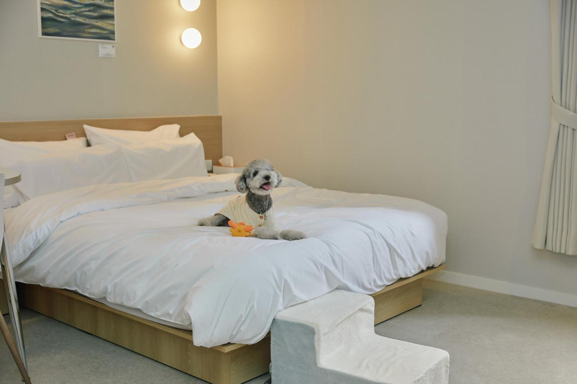 Aank Hotel Incheon Songdo エクステリア 写真