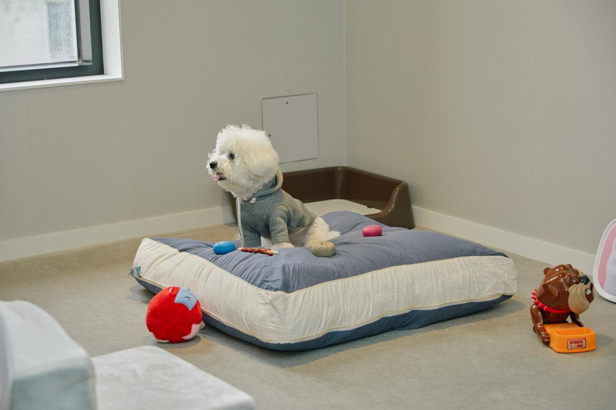 Aank Hotel Incheon Songdo エクステリア 写真